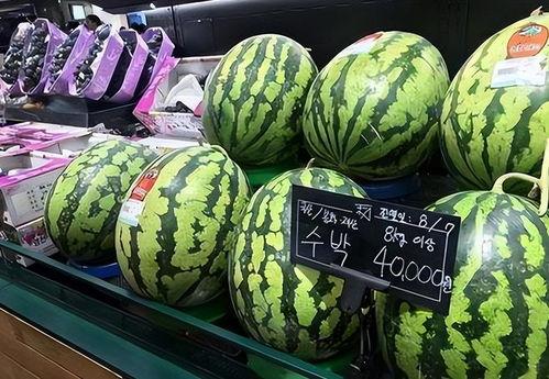 吃瓜比赛卖西瓜,吃瓜大赛,西瓜盛宴一触即发! 第3张 吃瓜比赛卖西瓜,吃瓜大赛,西瓜盛宴一触即发! 第3张